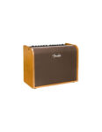 Stiprintuvas akustinei gitarai Fender Acoustic 100