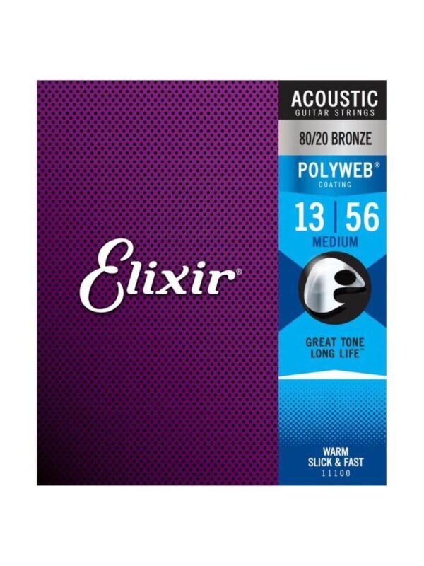 stygos elixir akustinei gitarai