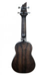 Koncertinė ukulelė Flycat Wave W10C BK