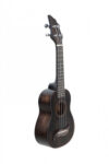 Koncertinė ukulelė Flycat Wave W10C BK