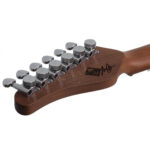 Elektrinė gitara Schecter Nick Johnston PT A. INK