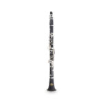 Klarnetas Roy Benson CB-317