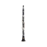Klarnetas Roy Benson CB-318