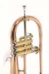 Fliugelhornas Bach FH501
