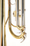 Trimitas Roy Benson TR-202
