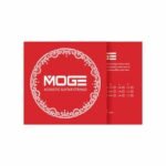 1 styga akustinei gitarai Moge GR10