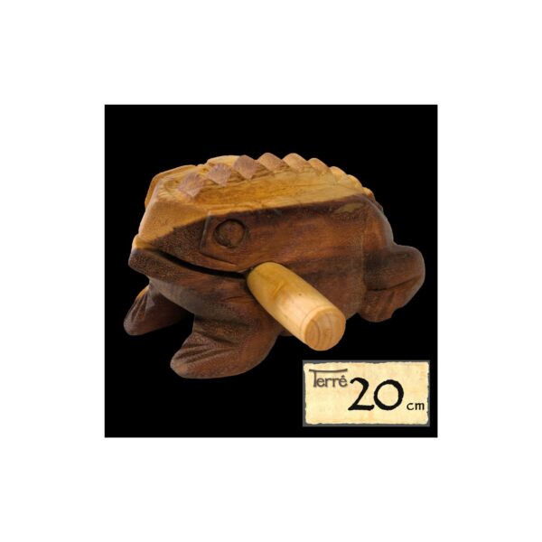 Varlės garso instrumentas Terre Frog 20