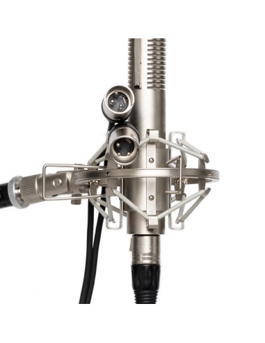 stereo-ribbon-microphone (1)