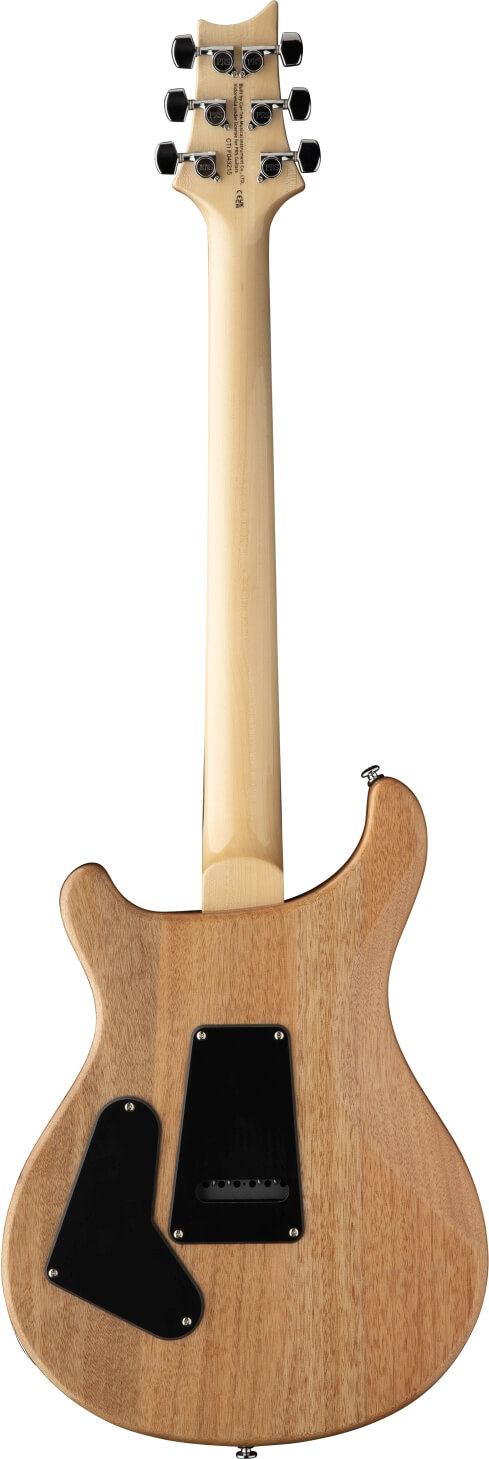 Elektrinė gitara PRS SE Custom 24 Turquiose