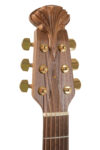 Elektro-akustinė gitara Adamas 2087GT