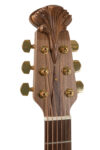 Elektro-akustinė gitara Adamas 1687GT
