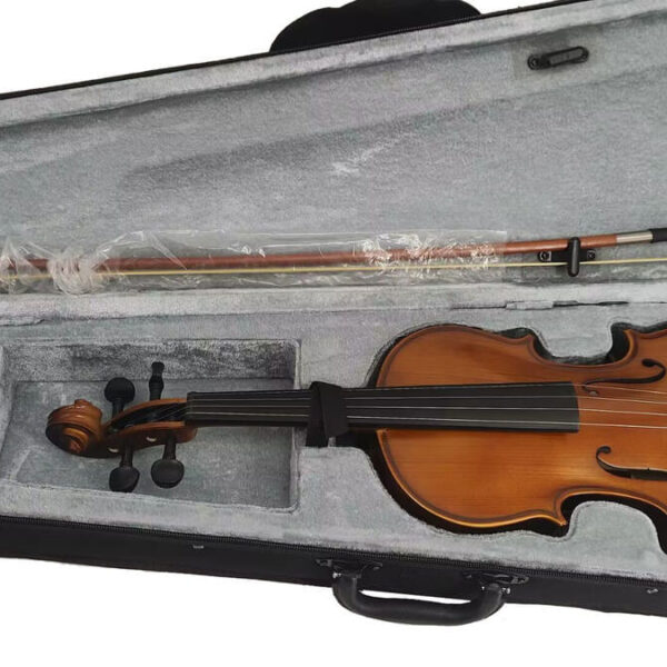 eng_pl_Archetto-TL001-2A-4-4-Violin-2570_2