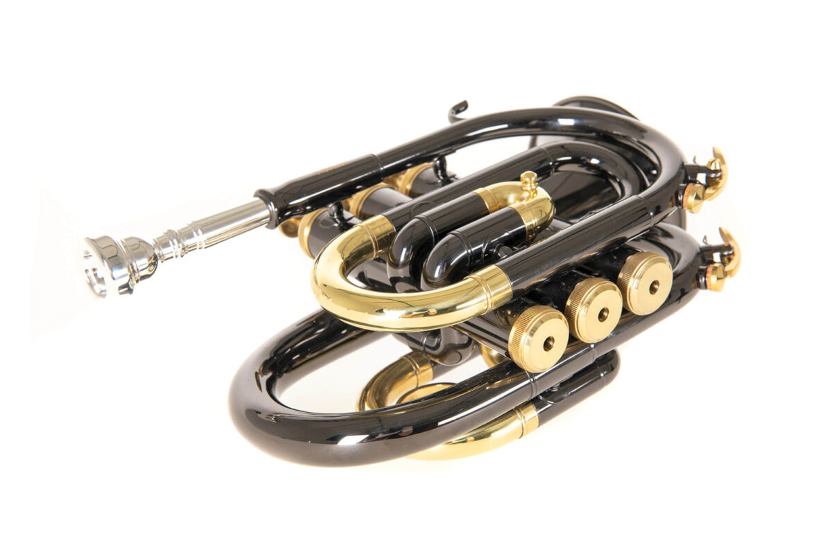 Kišeninis trimitas Roy Benson PT-101K