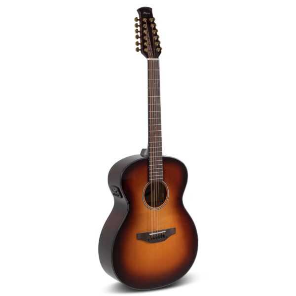 Elektro-akustinė gitara 12-stygė Applause AAJ96-1 Jumbo