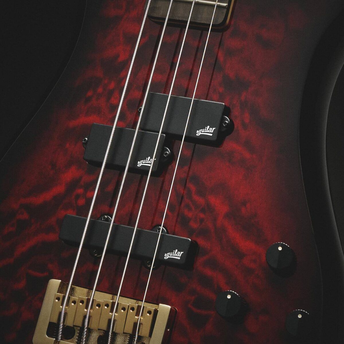 Bosinė gitara Spector Icon NS2 BC