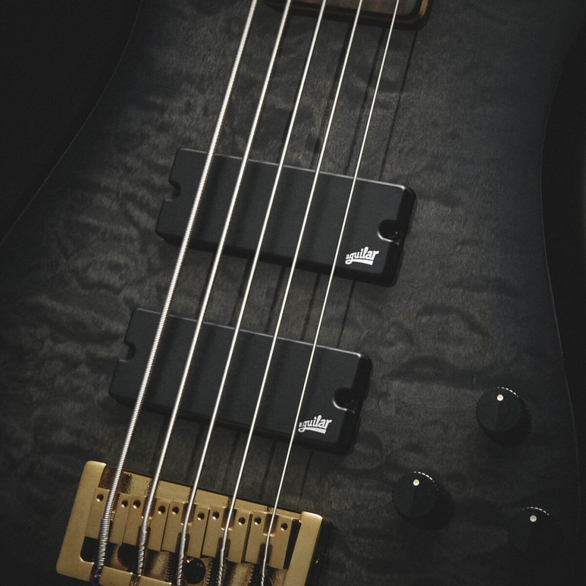 Bosinė gitara Spector Icon NS5 BS