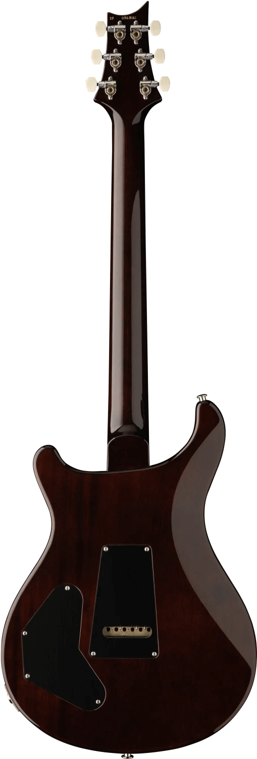 Elektrinė gitara PRS DGT Moons Gold Top