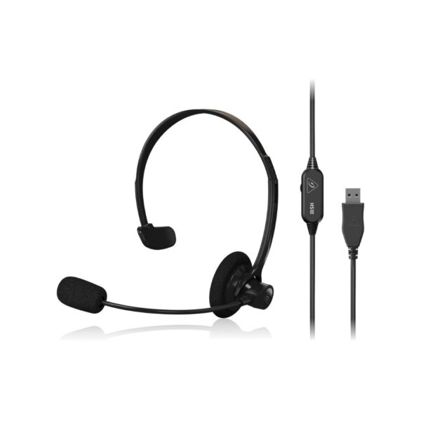 Ausinės Behringer HS10