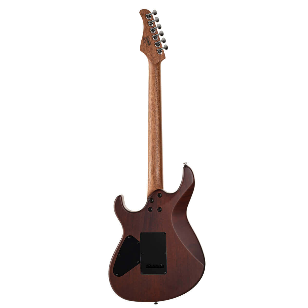 Elektrinė gitara Cort G300 RAW