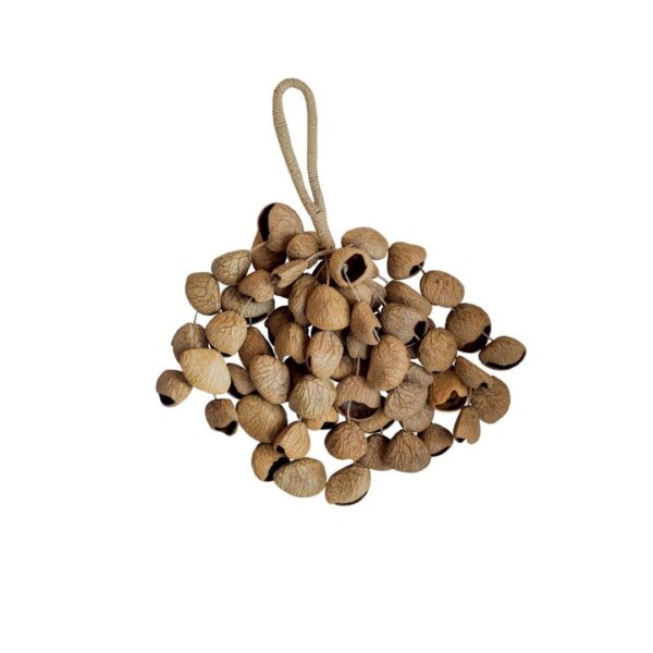 Šeikeris Terre XXL Pangi