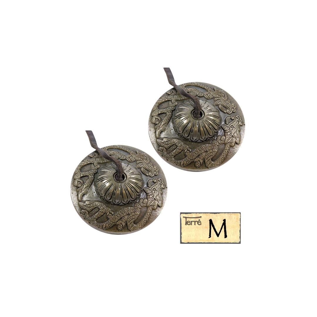 Lėkštutės Terre Dragon M