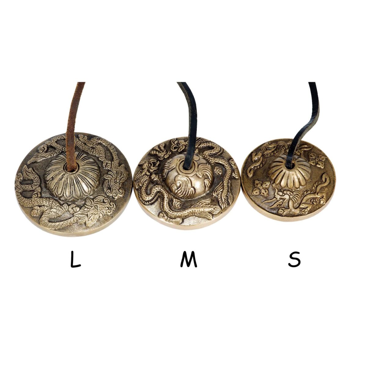 Lėkštutės Terre Dragon M