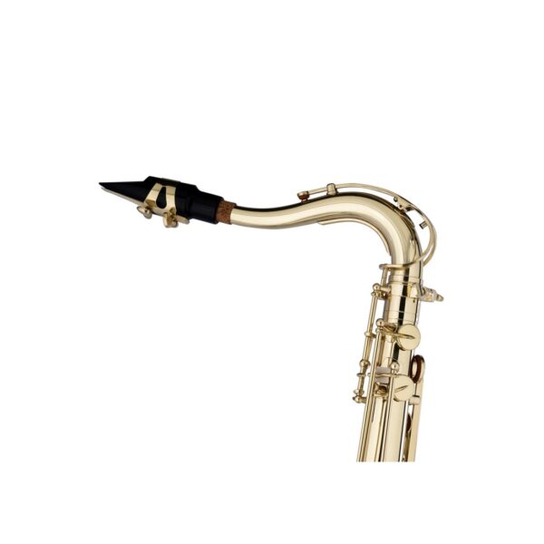 bb-tenor-saxophone-in-soft-case (1)