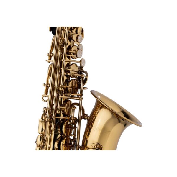 eb-alto-saxophone-hand-engraved-bell-with-soft-case (2)