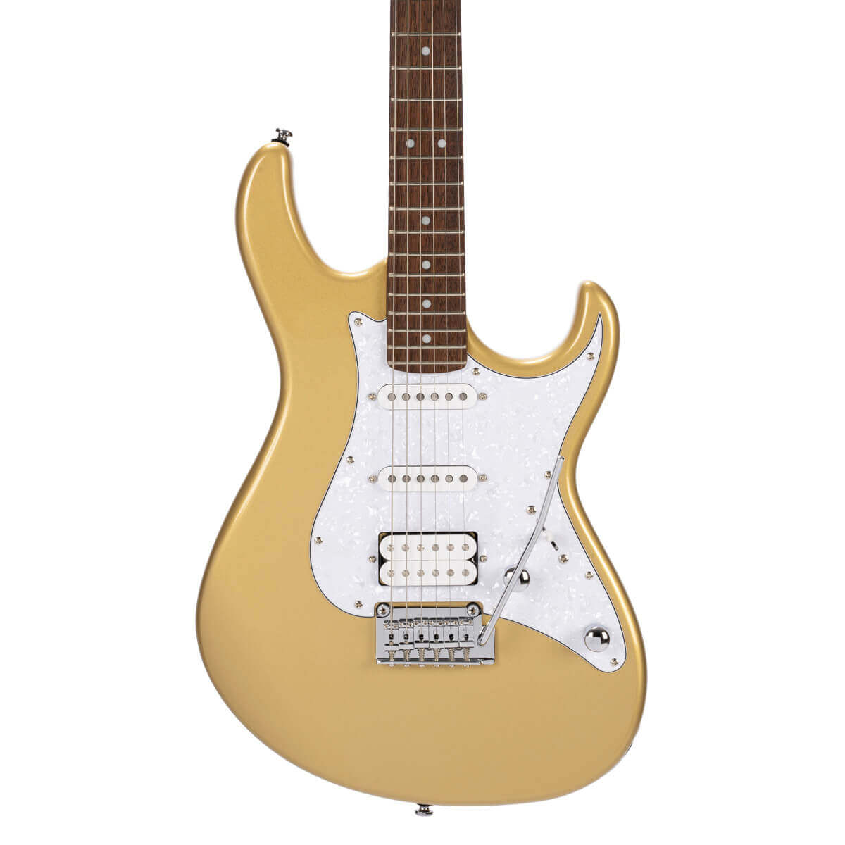 Elektrinė gitara Cort G250 CGM