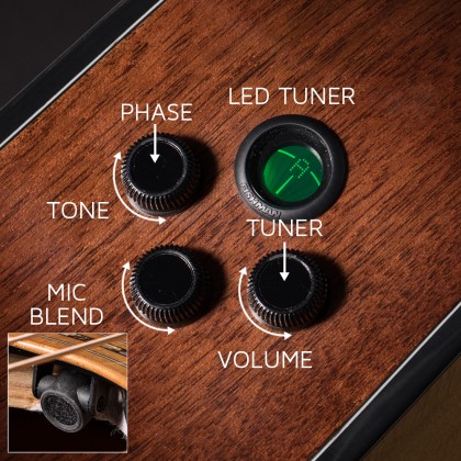 Elektro-akustinė gitara Cort Gold-A6 Bocote