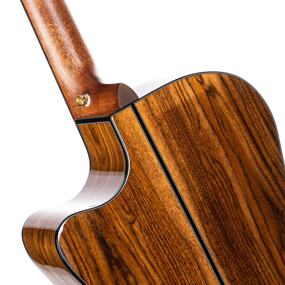 Elektro-akustinė gitara Cort Gold-A6 Bocote